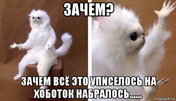 зачем? зачем всё это уписелось на хоботок набралось......, Мем Чучело кота