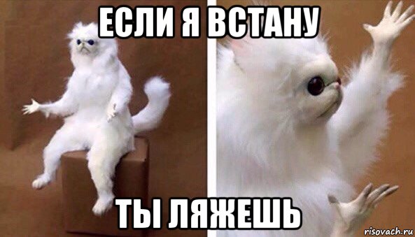 если я встану ты ляжешь, Мем Чучело кота