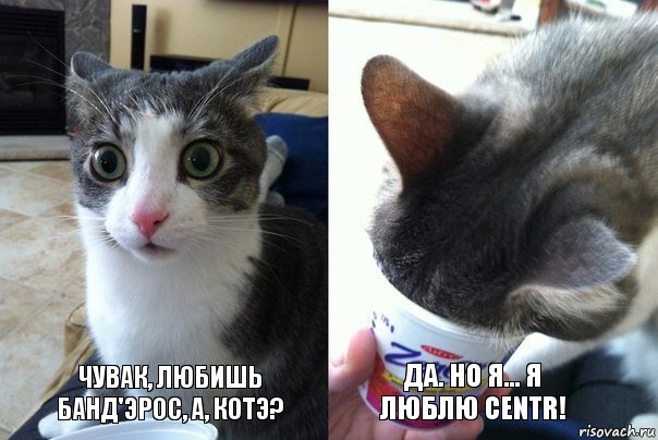 Чувак, любишь Банд'эрос, а, котэ? Да. Но я... Я люблю CENTR!, Комикс  Да не бред-какой-то (2 зоны)