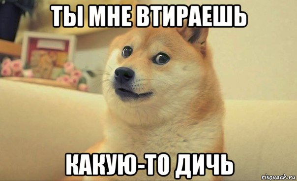 ты мне втираешь какую-то дичь, Мем DOGE