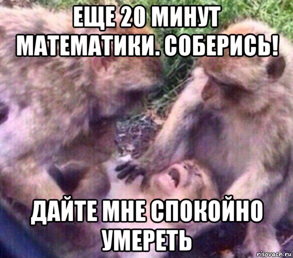 еще 20 минут математики. соберись! дайте мне спокойно умереть