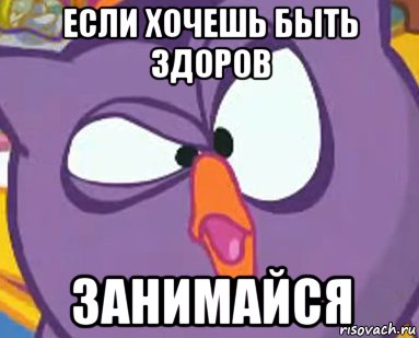 если хочешь быть здоров занимайся, Мем Дичь