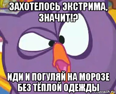 захотелось экстрима, значит!? иди и погуляй на морозе без тёплой одежды, Мем Дичь