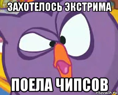 захотелось экстрима поела чипсов, Мем Дичь
