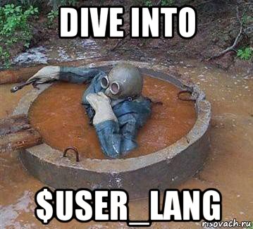dive into $user_lang