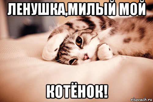 ленушка,милый мой котёнок!