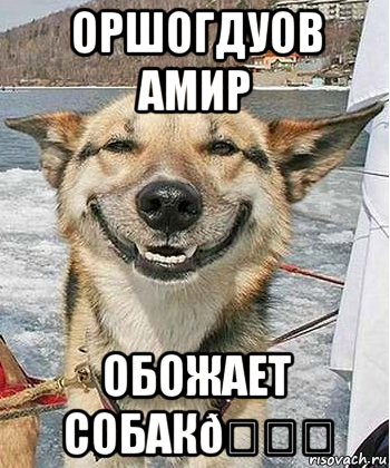 Мем Довольный пес