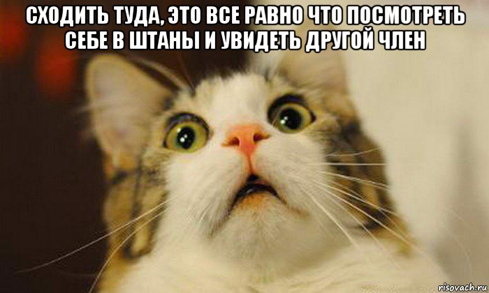 сходить туда, это все равно что посмотреть себе в штаны и увидеть другой член 