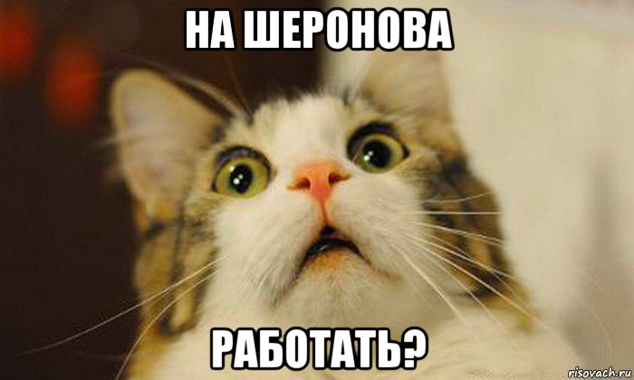 на шеронова работать?