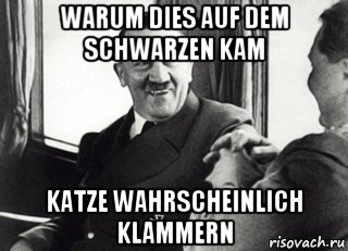 warum dies auf dem schwarzen kam katze wahrscheinlich klammern