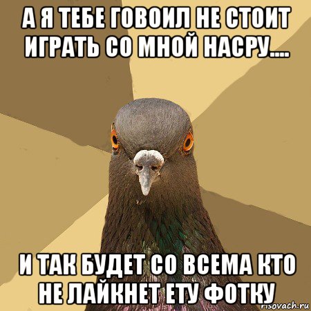 а я тебе говоил не стоит играть со мной насру.... и так будет со всема кто не лайкнет ету фотку, Мем голубь