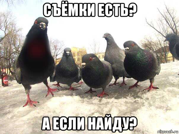 съёмки есть? а если найду?
