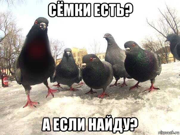 сёмки есть? а если найду?