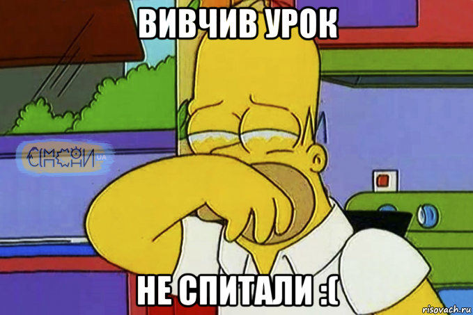 вивчив урок не спитали :(