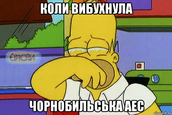 коли вибухнула чорнобильська аес, Мем Гомер Плаче СІМПСОНИ UA