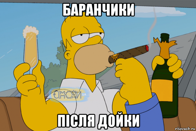 баранчики після дойки