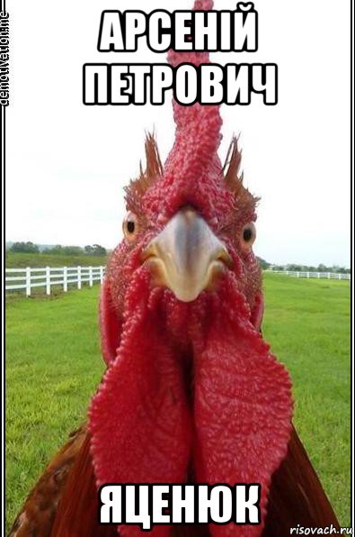 арсеній петрович яценюк