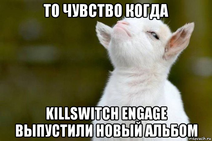 то чувство когда killswitch engage выпустили новый альбом, Мем  Гордый козленок