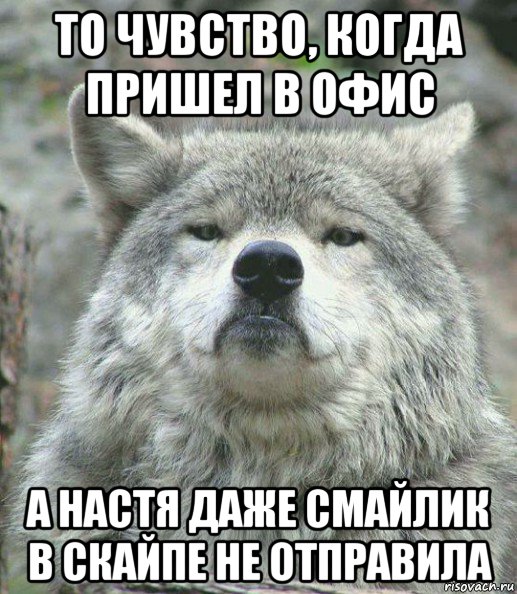 то чувство, когда пришел в офис а настя даже смайлик в скайпе не отправила, Мем    Гордый волк