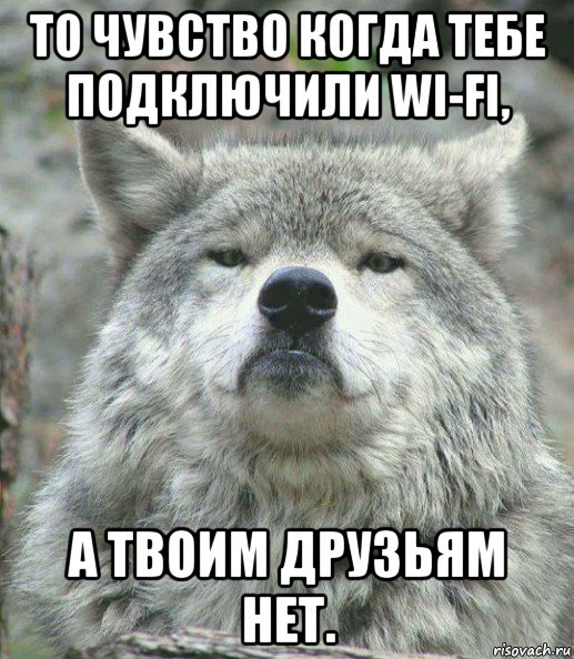 то чувство когда тебе подключили wi-fi, а твоим друзьям нет., Мем    Гордый волк