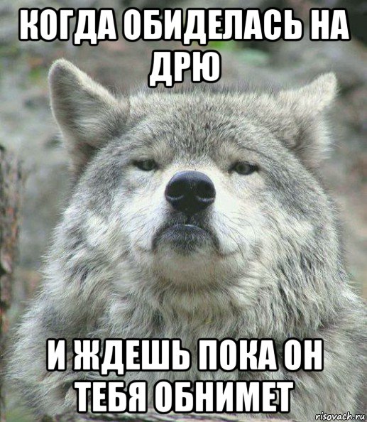 когда обиделась на дрю и ждешь пока он тебя обнимет, Мем    Гордый волк