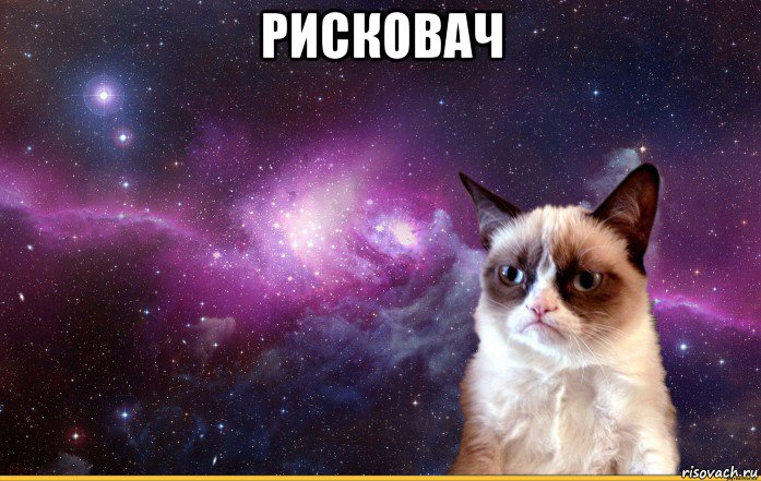 рисковач , Мем grumpy cat космос