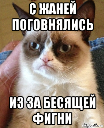 с жаней поговнялись из за бесящей фигни, Мем Grumpy Cat small