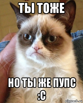 ты тоже но ты же пупс :с, Мем Grumpy Cat small