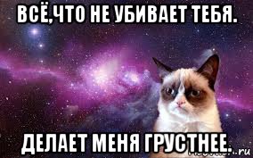 всё,что не убивает тебя. делает меня грустнее., Мем grumpy cat space