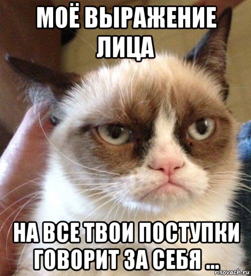 моё выражение лица на все твои поступки говорит за себя ..., Мем Грустный (сварливый) кот