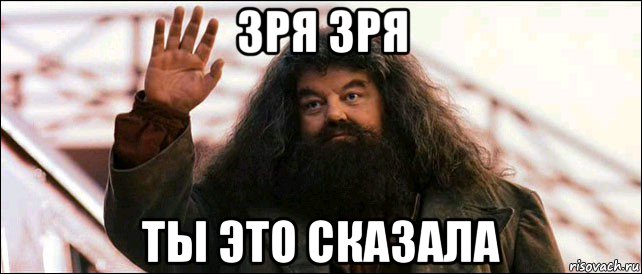 зря зря ты это сказала, Мем Хагрид