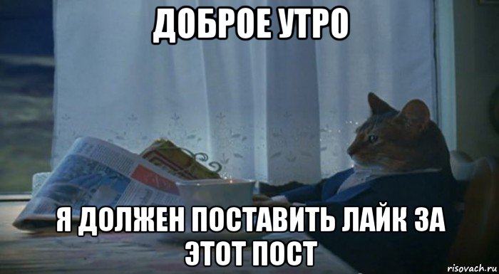 доброе утро я должен поставить лайк за этот пост