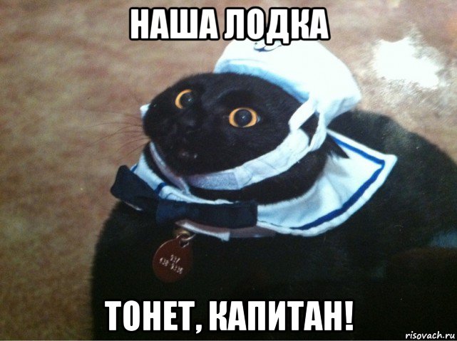наша лодка тонет, капитан!, Мем Капитан лодка