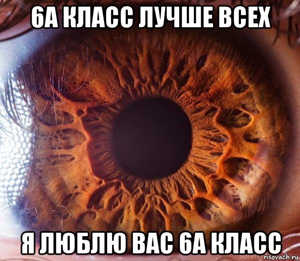 6а класс лучше всех я люблю вас 6а класс, Мем КАРИЕ ГЛАЗА АХУЕННЫ