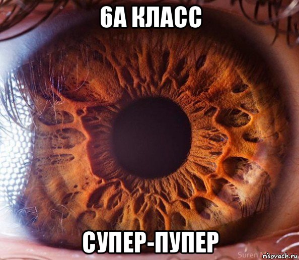 6а класс супер-пупер