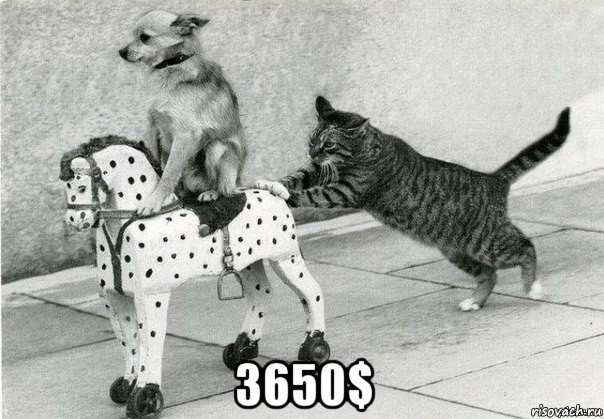  3650$