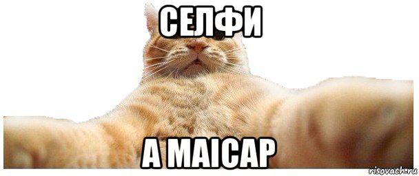 селфи a maicap, Мем   Кэтсвилл