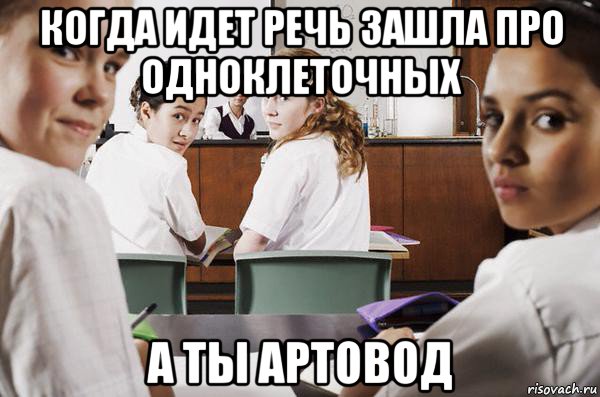 когда идет речь зашла про одноклеточных а ты артовод, Мем В классе все смотрят на тебя