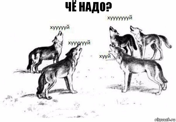 Чё надо?, Комикс Когда хочешь