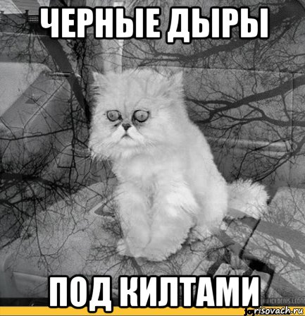 черные дыры под килтами, Мем Кот депрессия