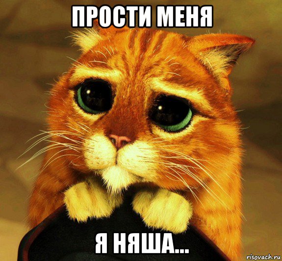 прости меня я няша...