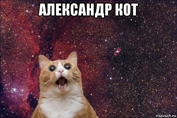александр кот 