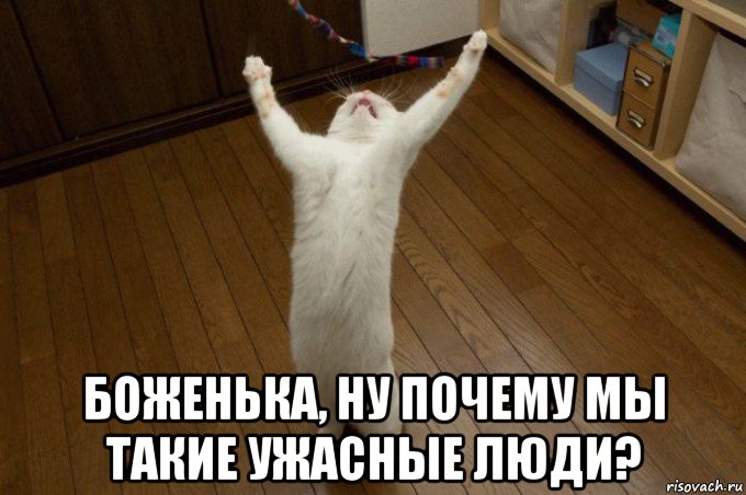  боженька, ну почему мы такие ужасные люди?