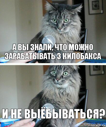 а вы знали, что можно зарабатывать 3 килобакса и не выёбываться?, Комикс  кот с микрофоном