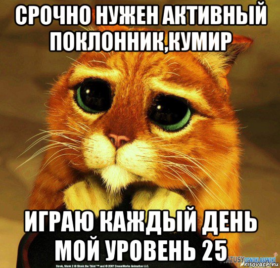 срочно нужен активный поклонник,кумир играю каждый день мой уровень 25, Мем Котик из Шрека