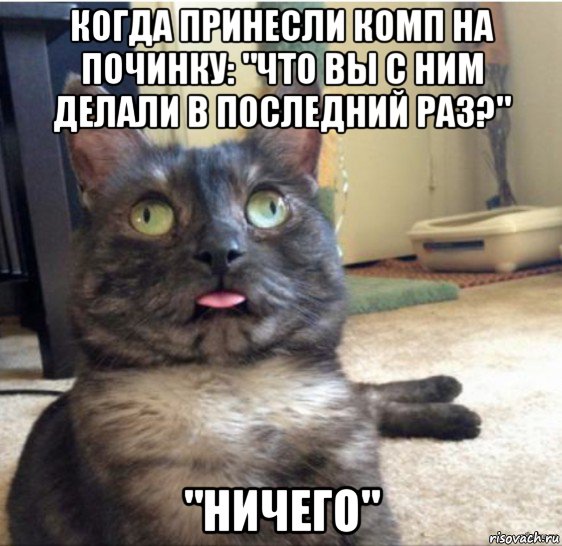 когда принесли комп на починку: "что вы с ним делали в последний раз?" "ничего", Мем   Кот завис