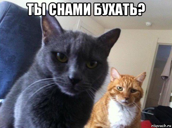 ты снами бухать? 