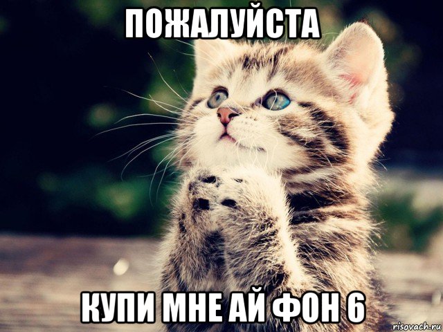 пожалуйста купи мне ай фон 6