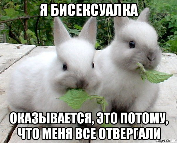 я бисексуалка оказывается, это потому, что меня все отвергали, Мем кролики-бифобики