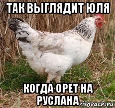 так выглядит юля когда орет на руслана, Мем курица